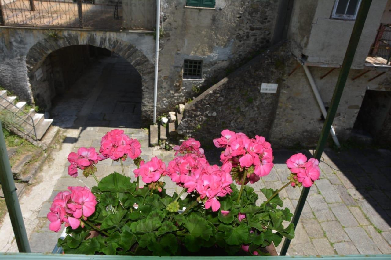 Agriturismo Ghirlanda Norma Rita Carrodano Inferiore المظهر الخارجي الصورة