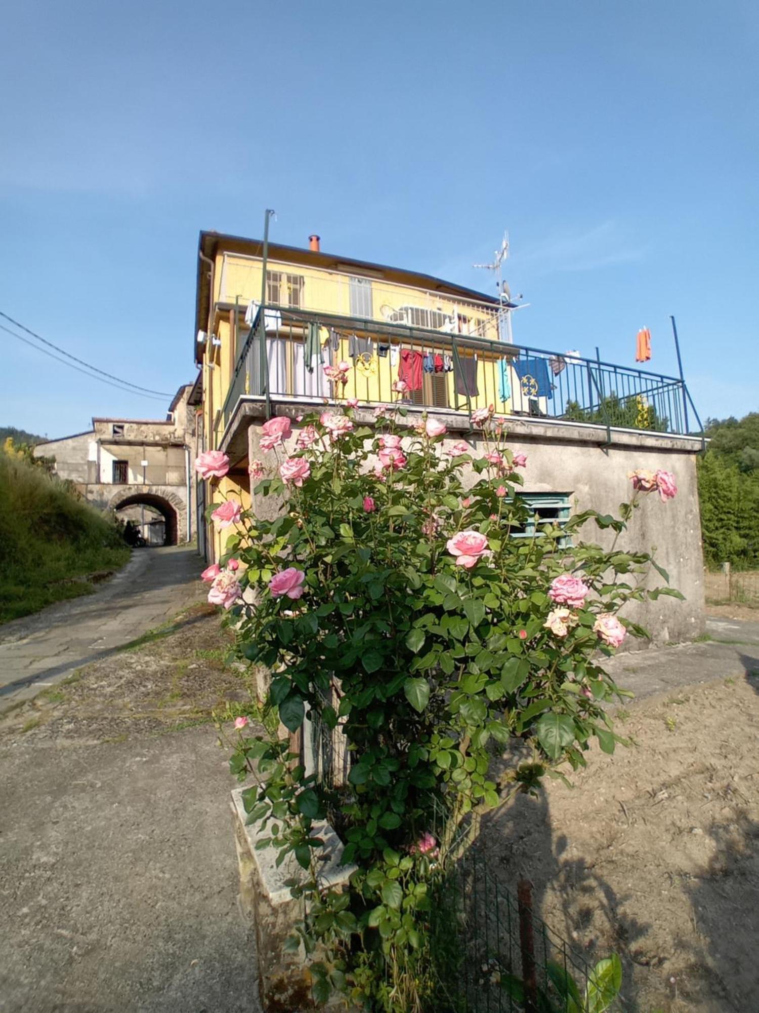 Agriturismo Ghirlanda Norma Rita Carrodano Inferiore المظهر الخارجي الصورة